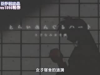 SEDD-3025