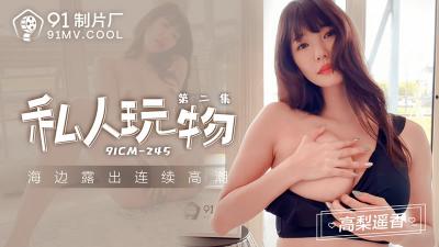 高梨遥香极品私密调教！私人玩物第二集 CM245