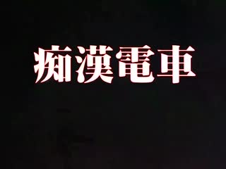 色狼电车 后篇